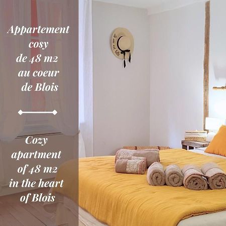 Blois City - Le Petit Louis XII Eksteriør bilde