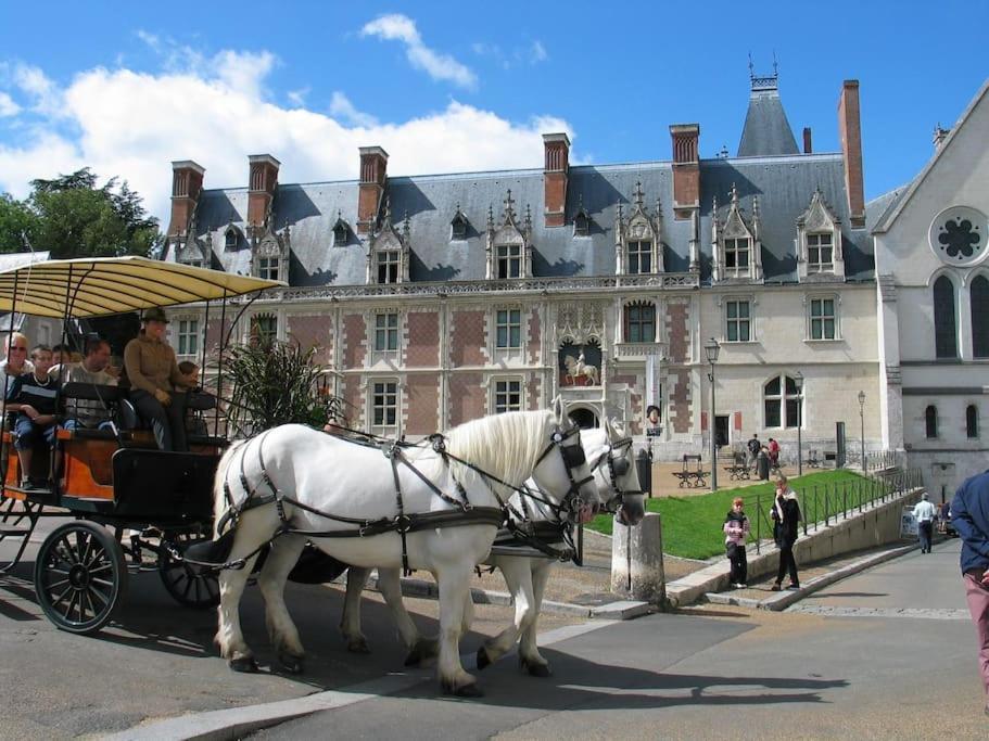 Blois City - Le Petit Louis XII Eksteriør bilde