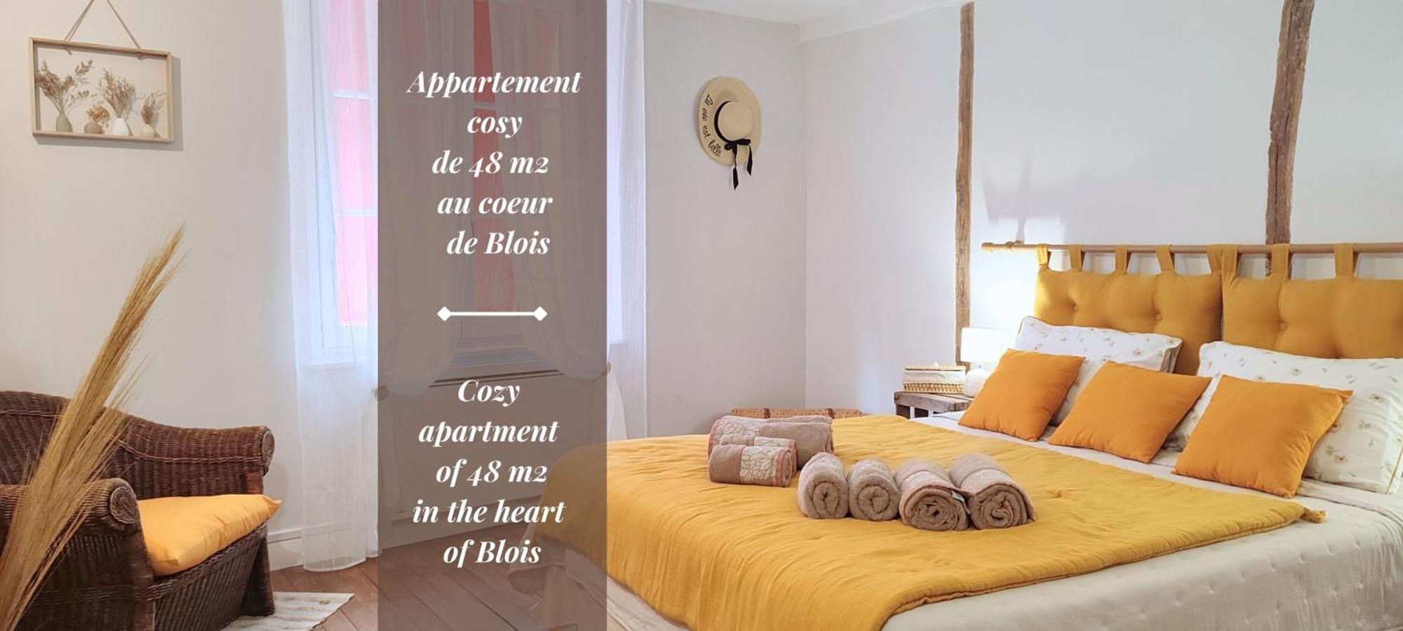 Blois City - Le Petit Louis XII Eksteriør bilde
